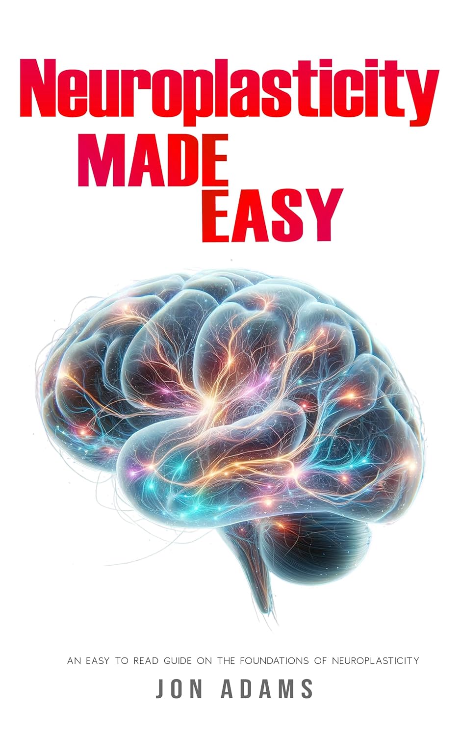 Neuroplasticity Made Easy: An Easy To Read Guide On The Foundations Of Neuroplasticity