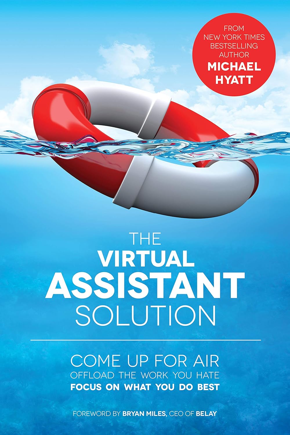 The Virtual Assistant Solution: Come up for Air, Offload the Work You Hate, and Focus on What You Do Best