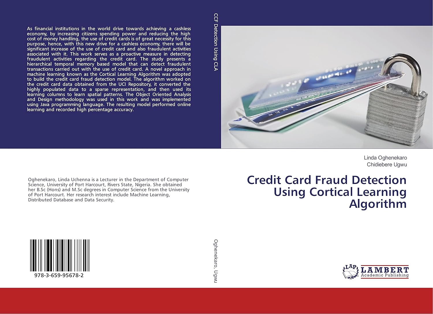 Credit Card Fraud Detection Using Cortical Learning Algorithm