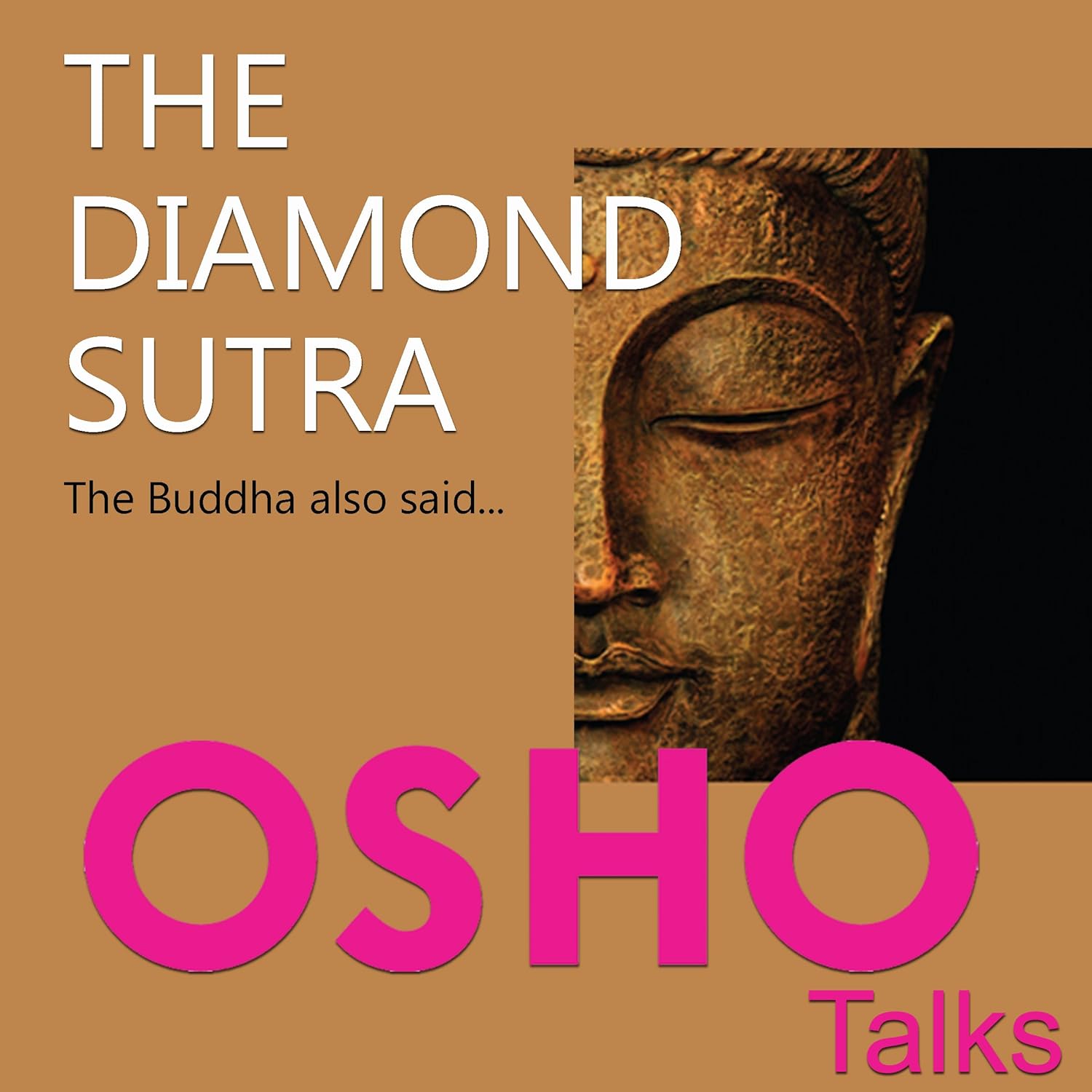 The Diamond Sutra: The Buddha Also Said…