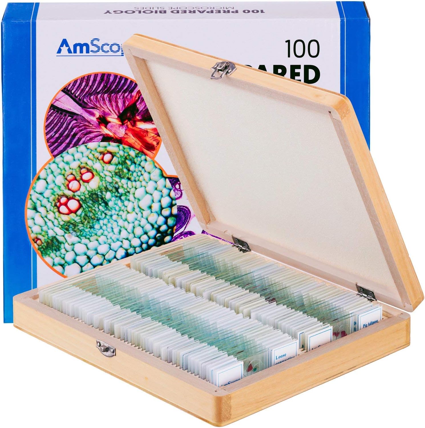 AmScope PS100E Basic Biology Prepared Slide Set for Student and Homeschool Use, Set of 100 Prepared Glass Slides (Set E), Includes Fitted Wooden Storage Box