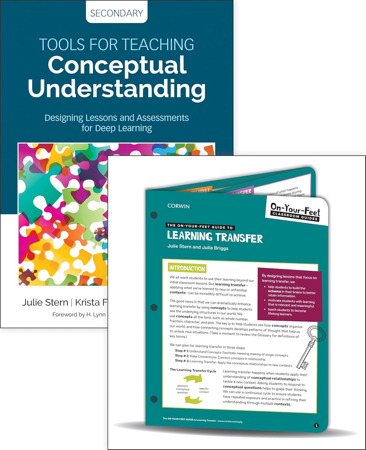 BUNDLE: Stern: Tools for Teaching Conceptual Understanding, Secondary + Stern: On-Your-Feet Guide to Learning Transfer (On-Your-Feet-Guides)