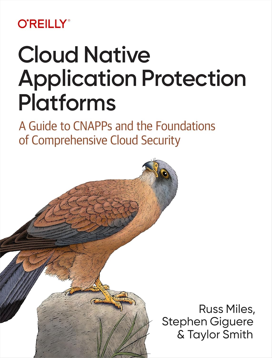 Cloud Native Application Protection Platforms: A Guide to CNAPPs and the Foundations of Comprehensive Cloud Security