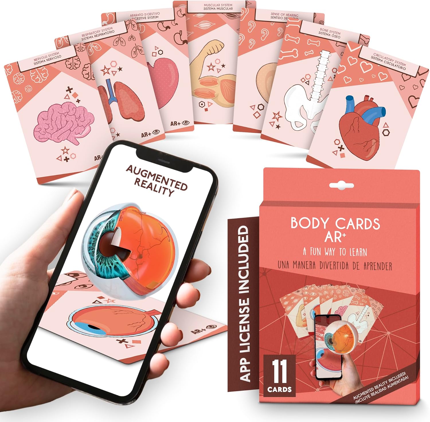 Anatomy Flash Cards, Anatomy and Physiology Flashcards for Kids, Augmented Reality, App Included, English and Spanish, A&P, Body Parts, Body Systems, Learning Tool, Study Tool, Learning Toy