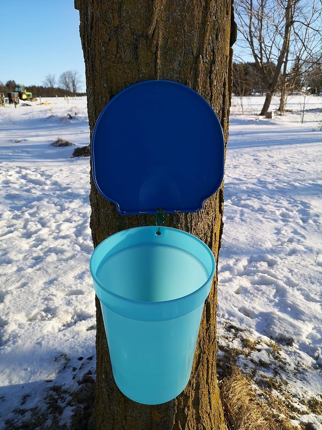 Maple Syrup Backyard Starter Kit Blue 2 Gal Poly Sap Bucket Kit, with Lids and Spouts