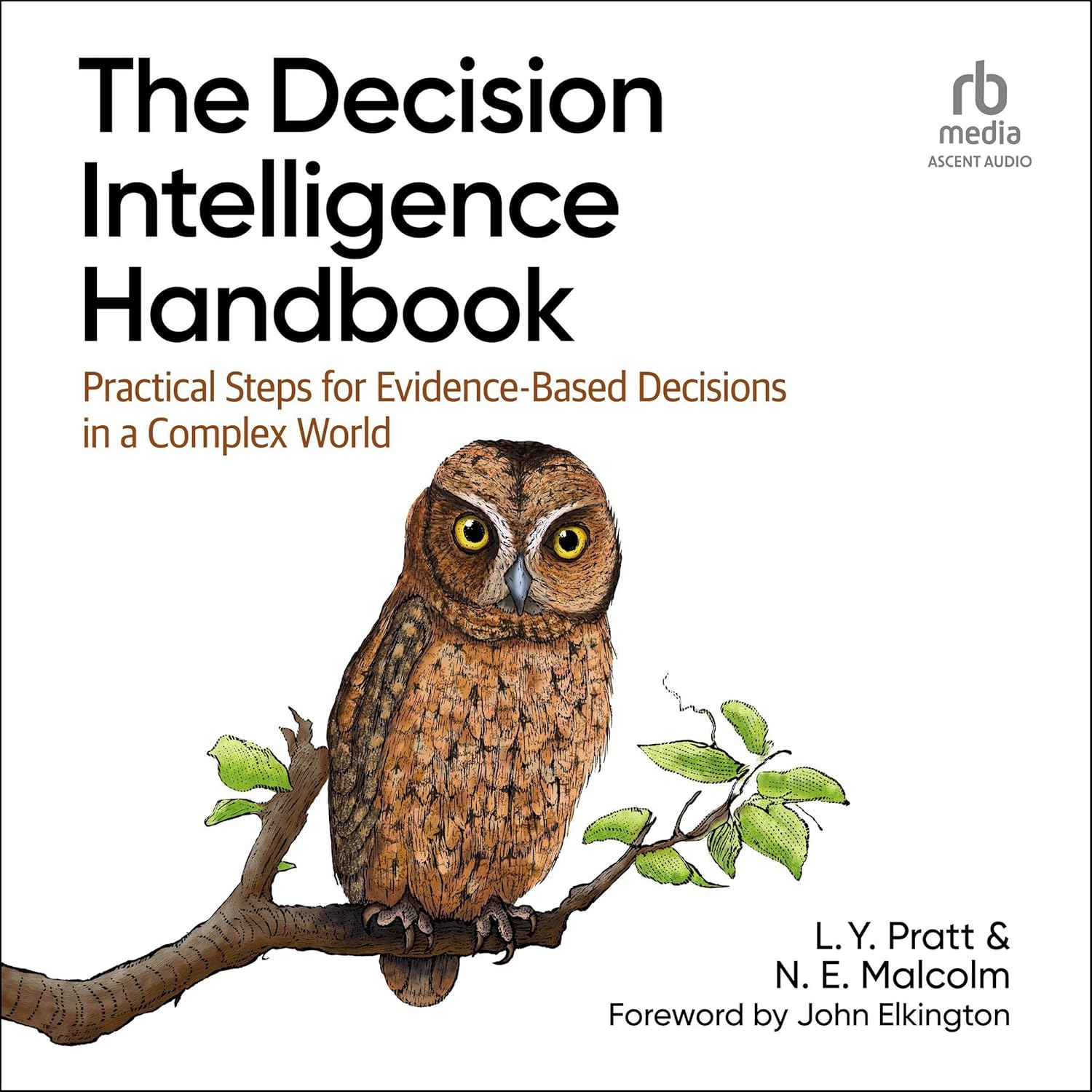 The Decision Intelligence Handbook: Practical Steps for Evidence-Based Decisions in a Complex World