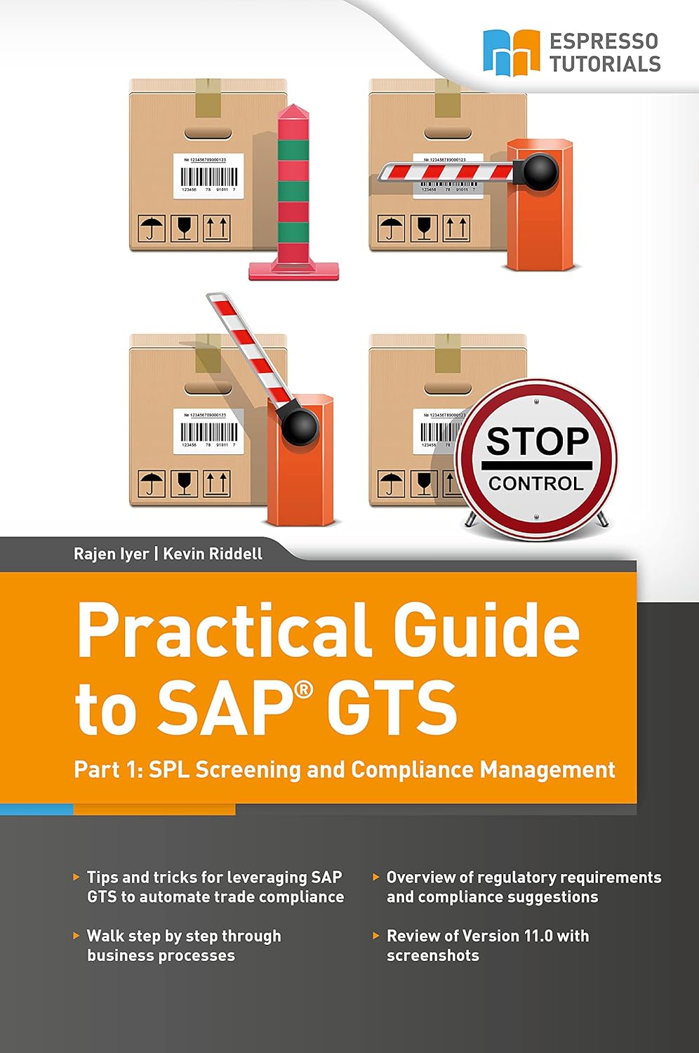 Practical Guide to SAP GTS: SAP Global Trade Services (GTS)