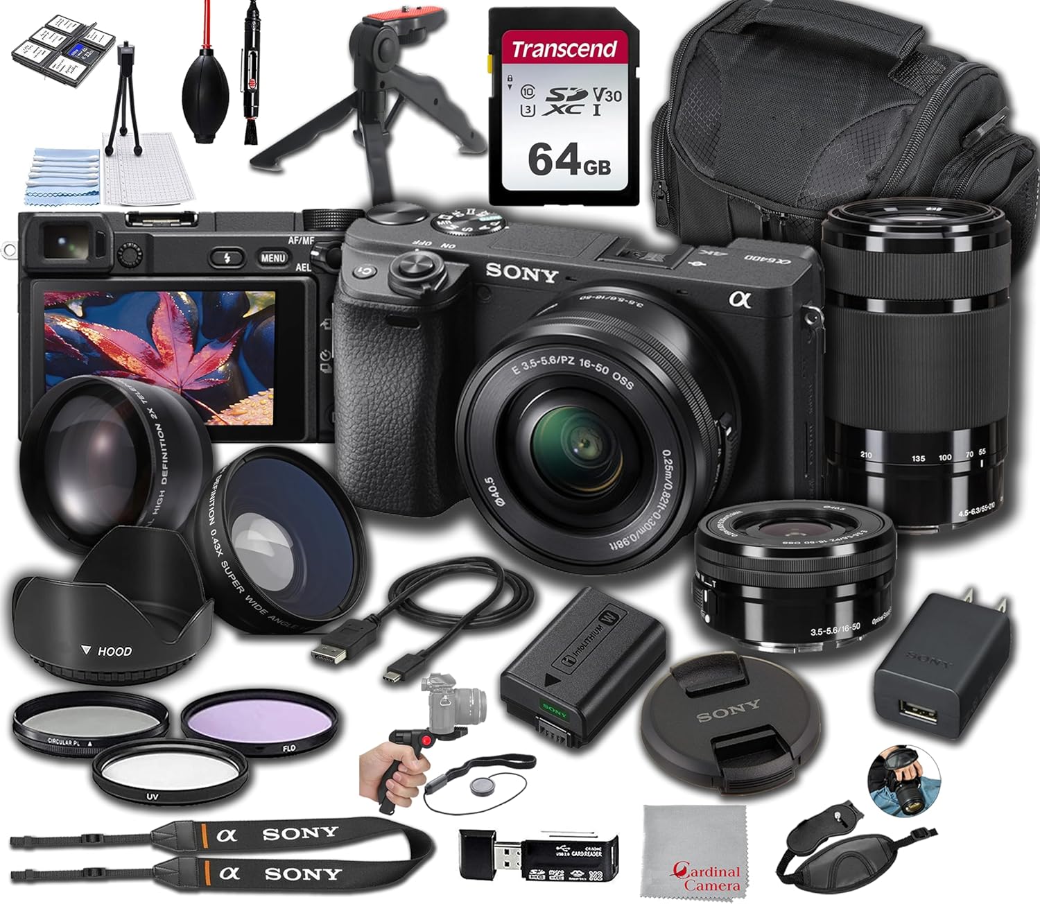 Sony a6400 Mirrorless Camera with 16-50mm + 55-210mm Lenses, 64GB Memory, Wide and Telephoto Lenses, Case. Filters Hood, Grip, & More-Pro Bundle