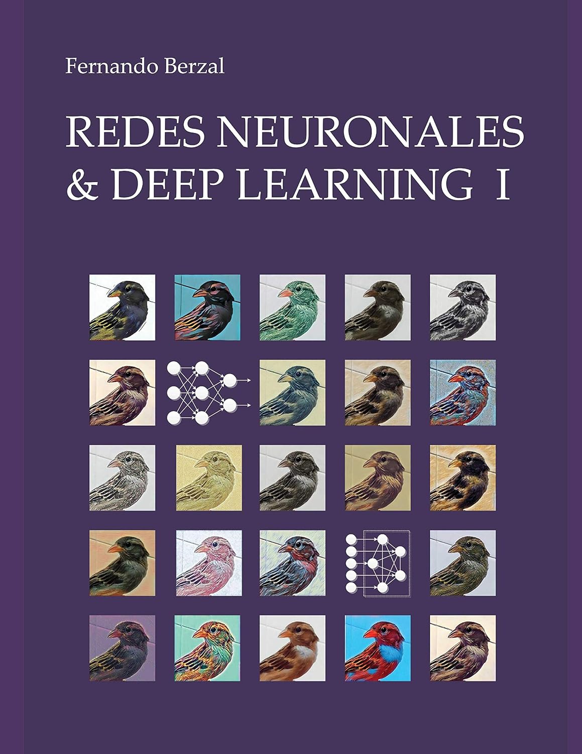 Redes Neuronales & Deep Learning – Volumen 1: Entrenamiento de redes neuronales artificiales [formato 8.5″ x 11″] (Spanish Edition)