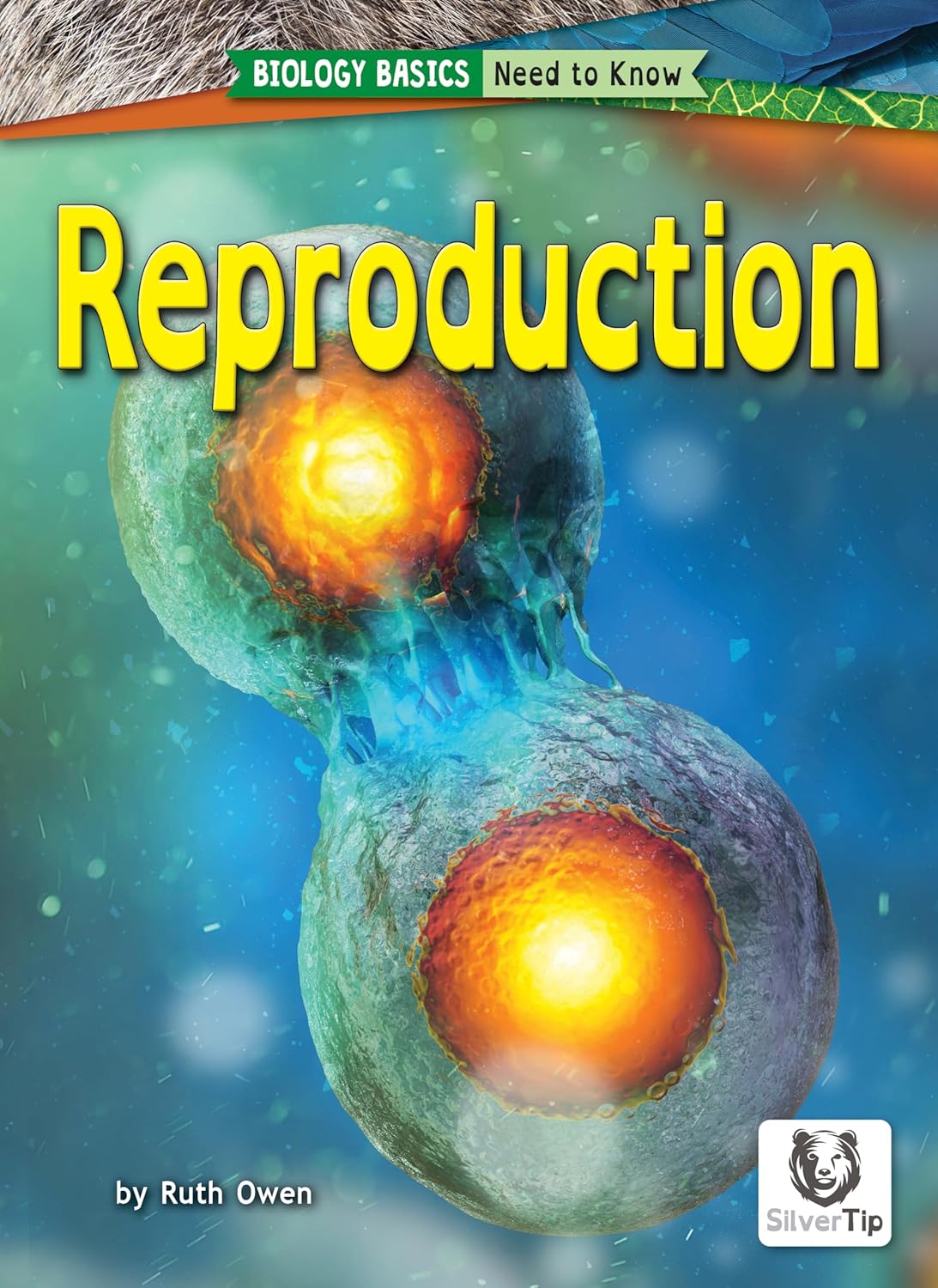 Reproduction – Reading for Students Struggling with Core Curriculum, Grades 2-3 – Developmental Learning with Dyslexic-Friendly Font & Design for … Collection (Biology Basics: Need to Know)