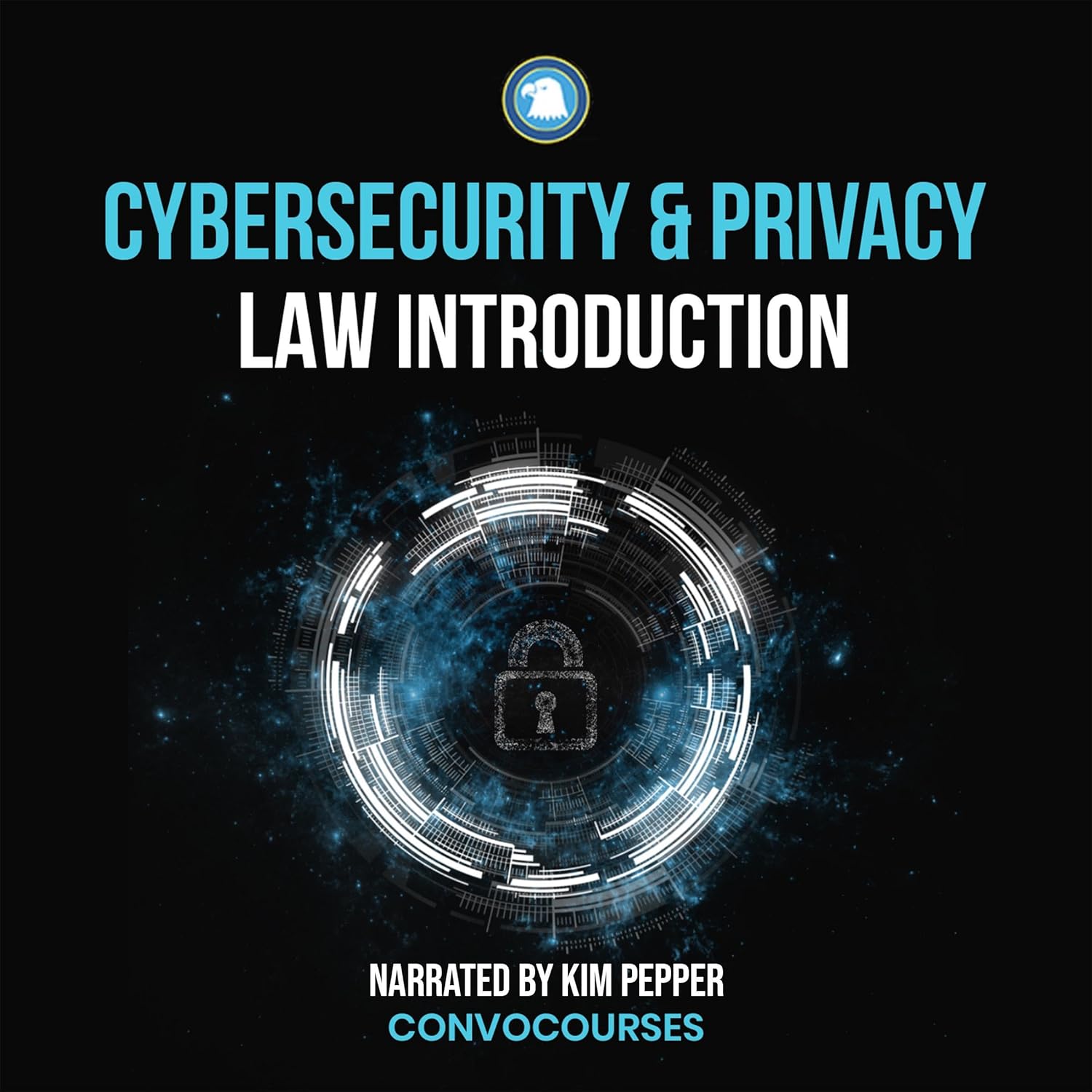 Cybersecurity and Privacy Law Introduction