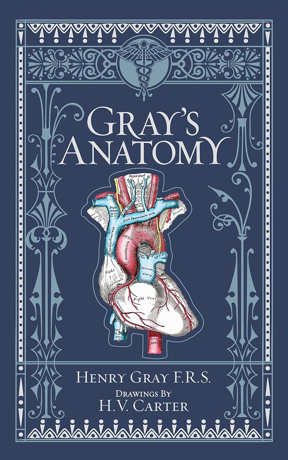 Gray’s Anatomy