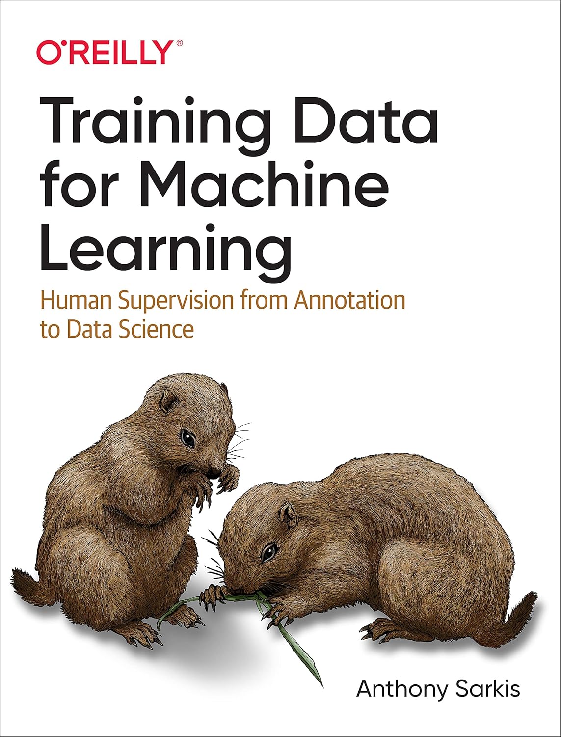 Training Data for Machine Learning: Human Supervision from Annotation to Data Science