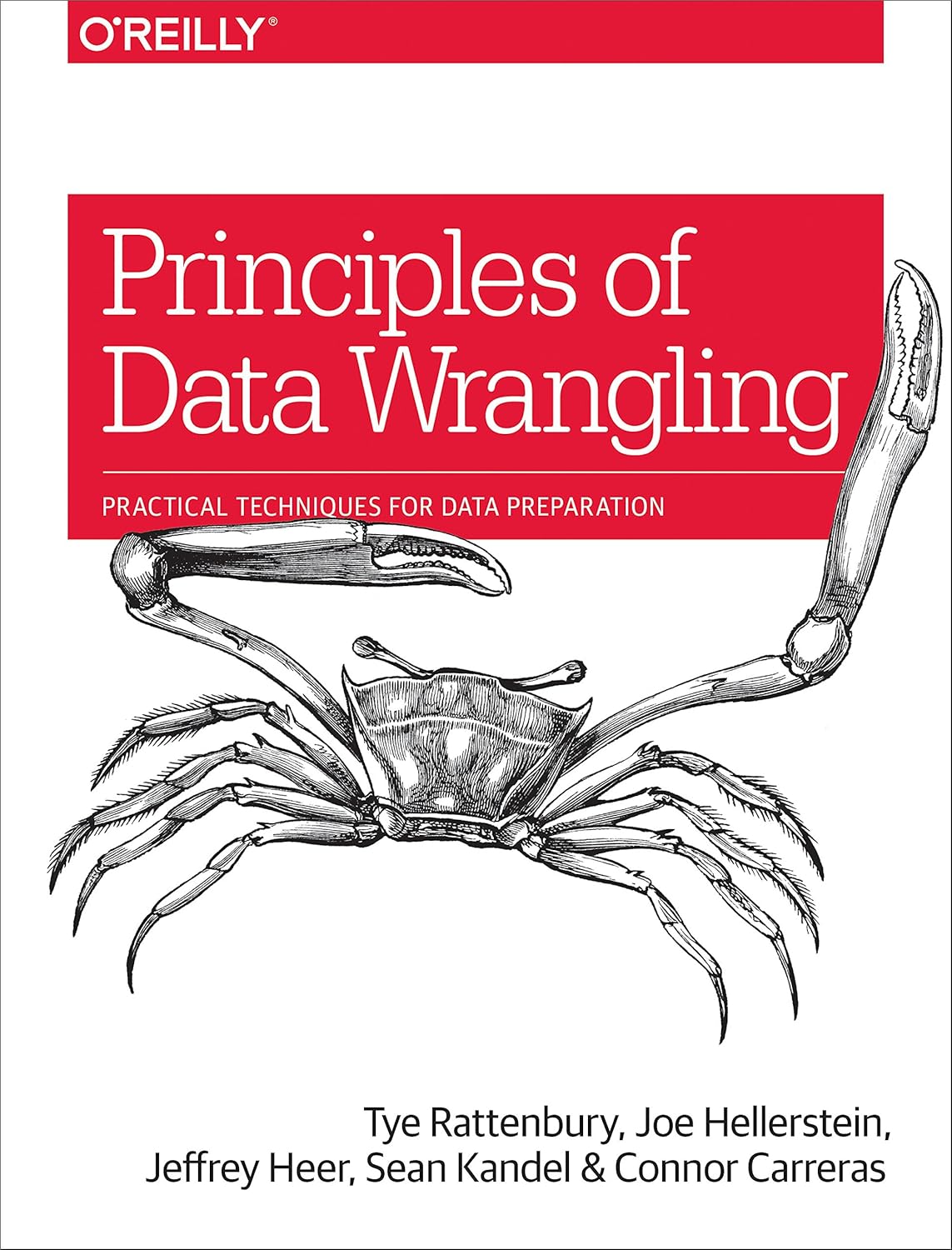 Principles of Data Wrangling: Practical Techniques for Data Preparation