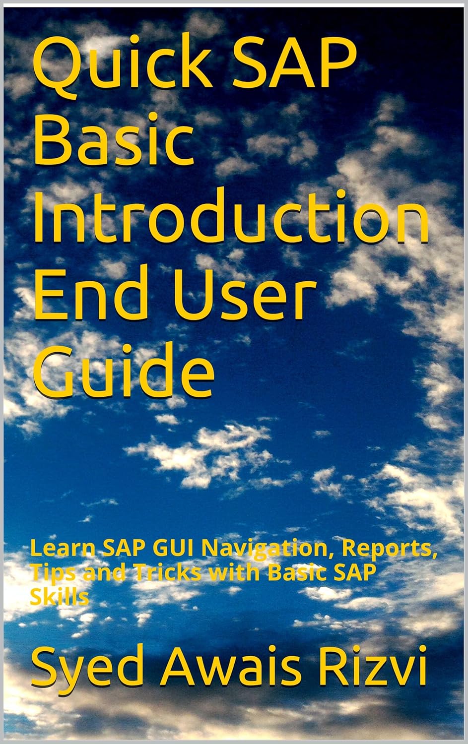 Quick SAP Basic Introduction End User Guide: Learn SAP GUI Navigation, Reports, Tips and Tricks with Basic SAP Skills (SAP Basics Book 1)