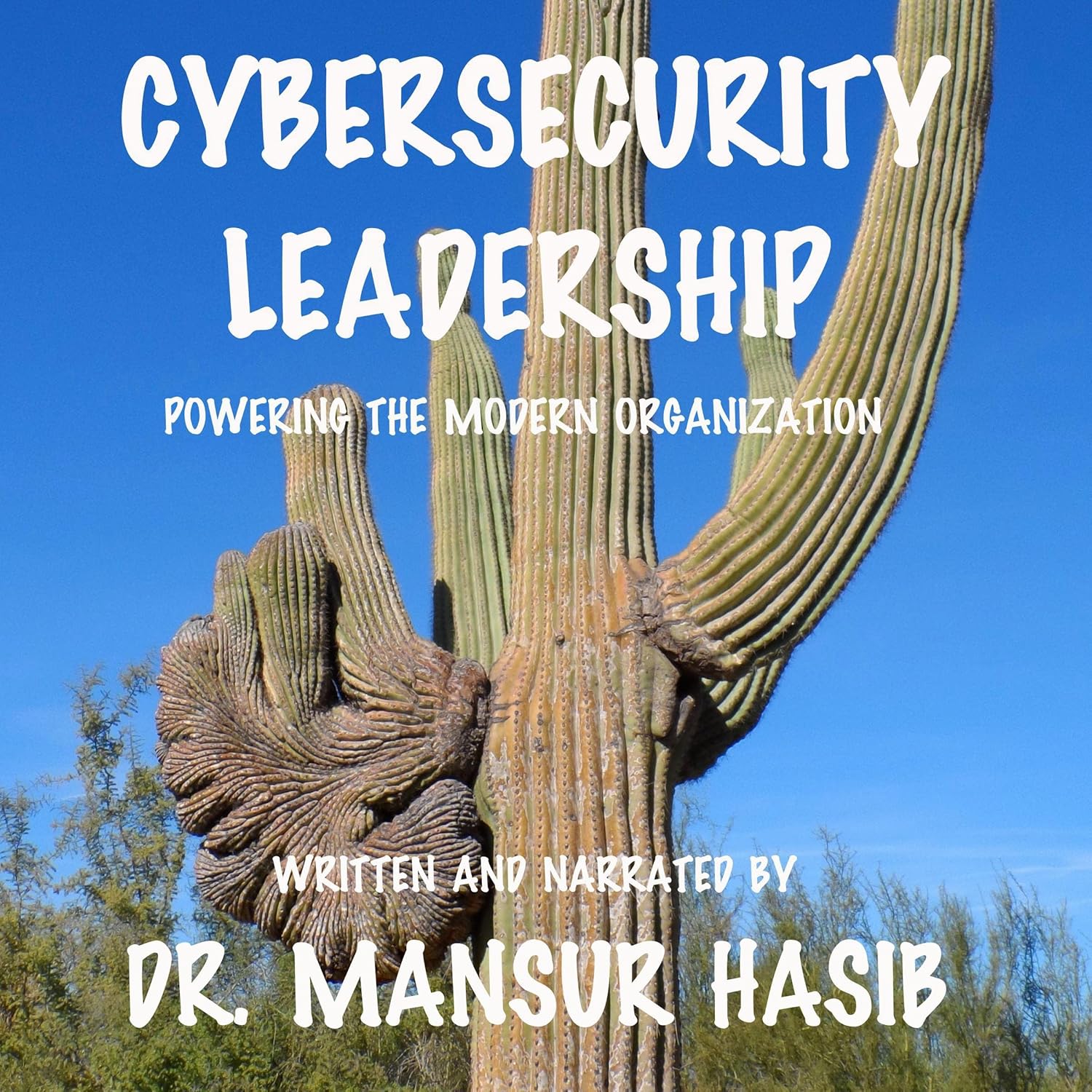 Cybersecurity Leadership: Powering the Modern Organization