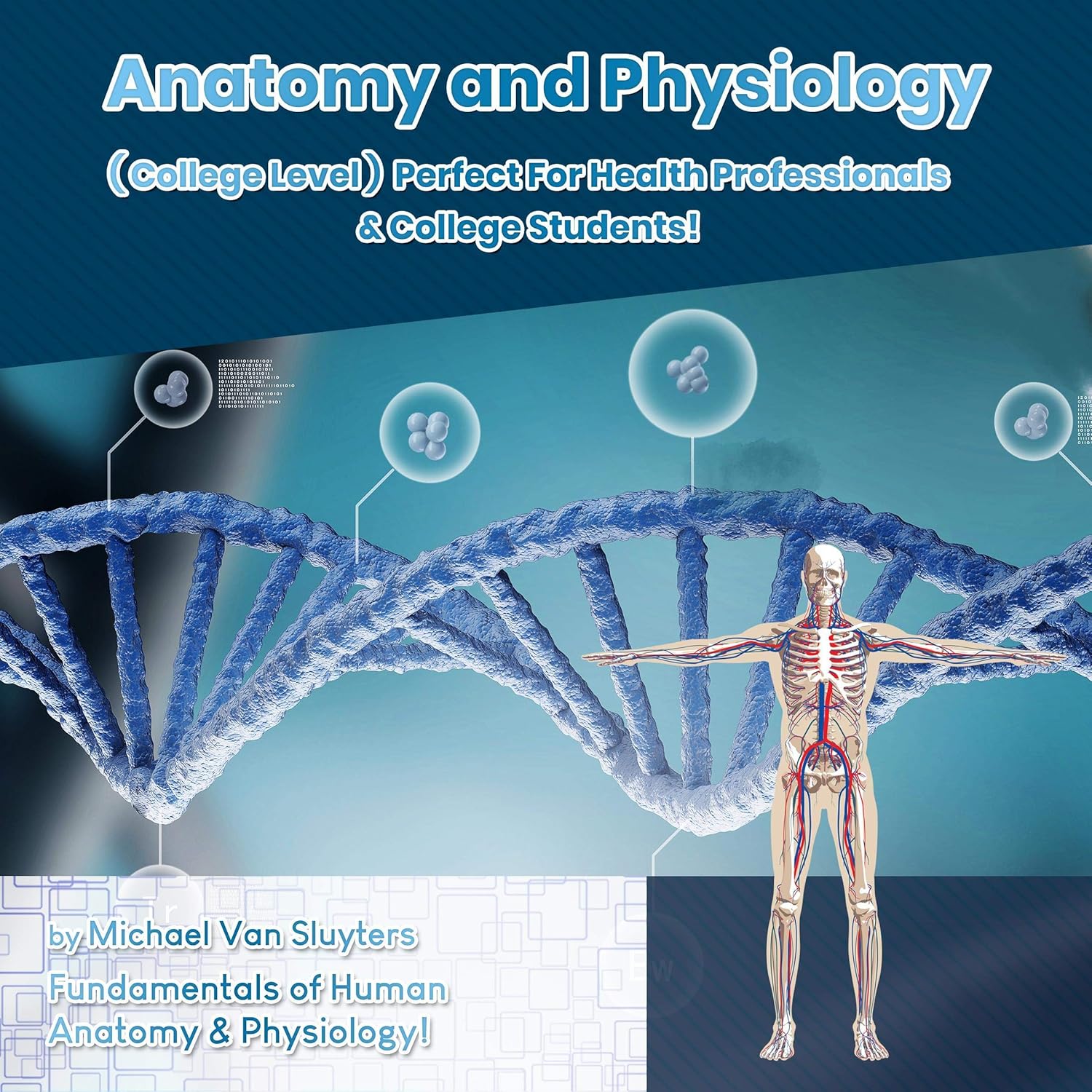 Anatomy and Physiology (College Level) Perfect for Health Professionals & College Students!: Fundamentals of Human Anatomy & Physiology!