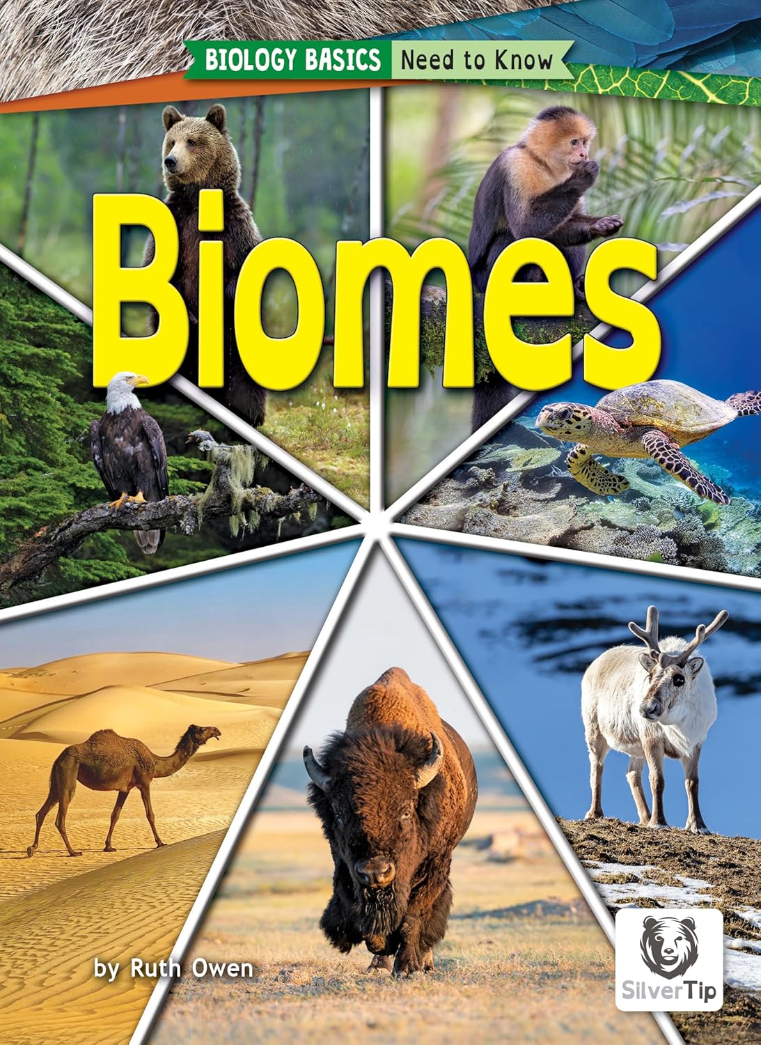 Biomes – Reading for Students Struggling with Core Curriculum, Grades 2-3 – Developmental Learning with Dyslexic-Friendly Font & Design for Young … Collection (Biology Basics: Need to Know)