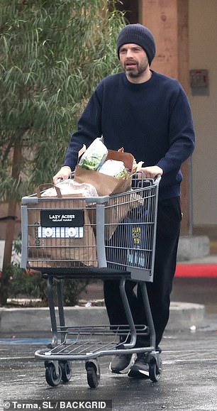 Sebastian Stan steps out for Christmas Eve grocery run with girlfriend Annabelle Wallis