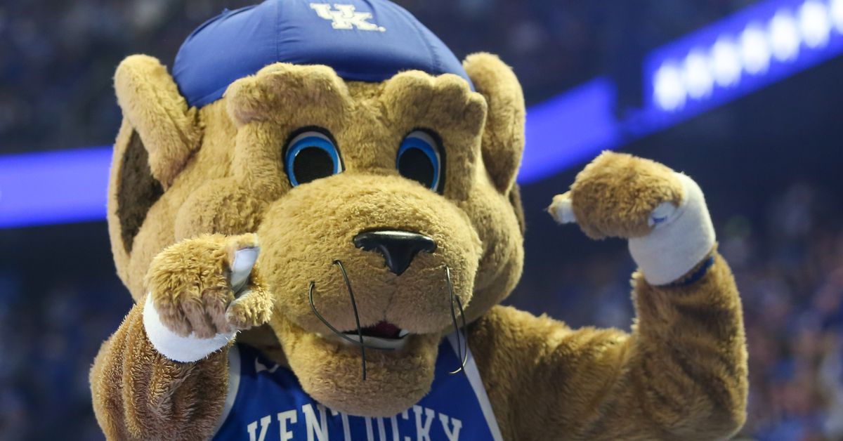 UK Wildcats News: Brown Gameday