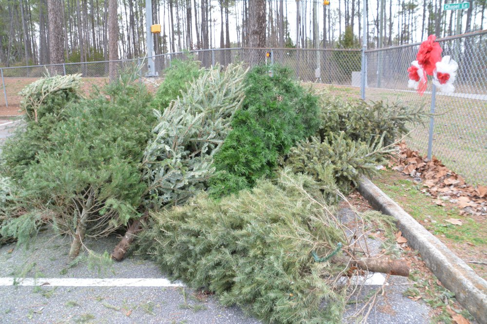 Hoover residents have new location to discard live Christmas trees