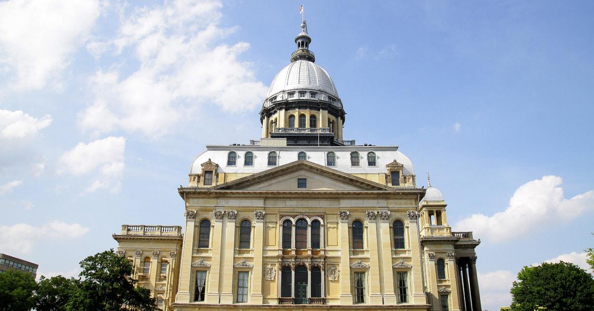 Nearly 300 new Illinois laws go into effect this week. Here are some of the most notable.