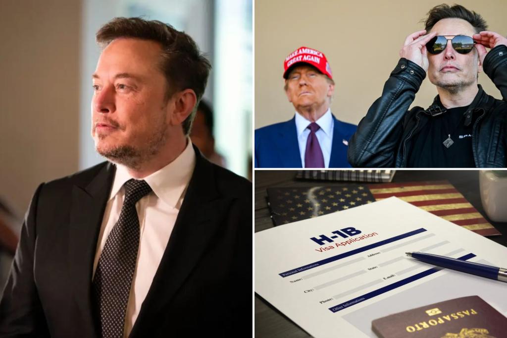 Donald Trump backs H-1B visa program supported by Elon Musk