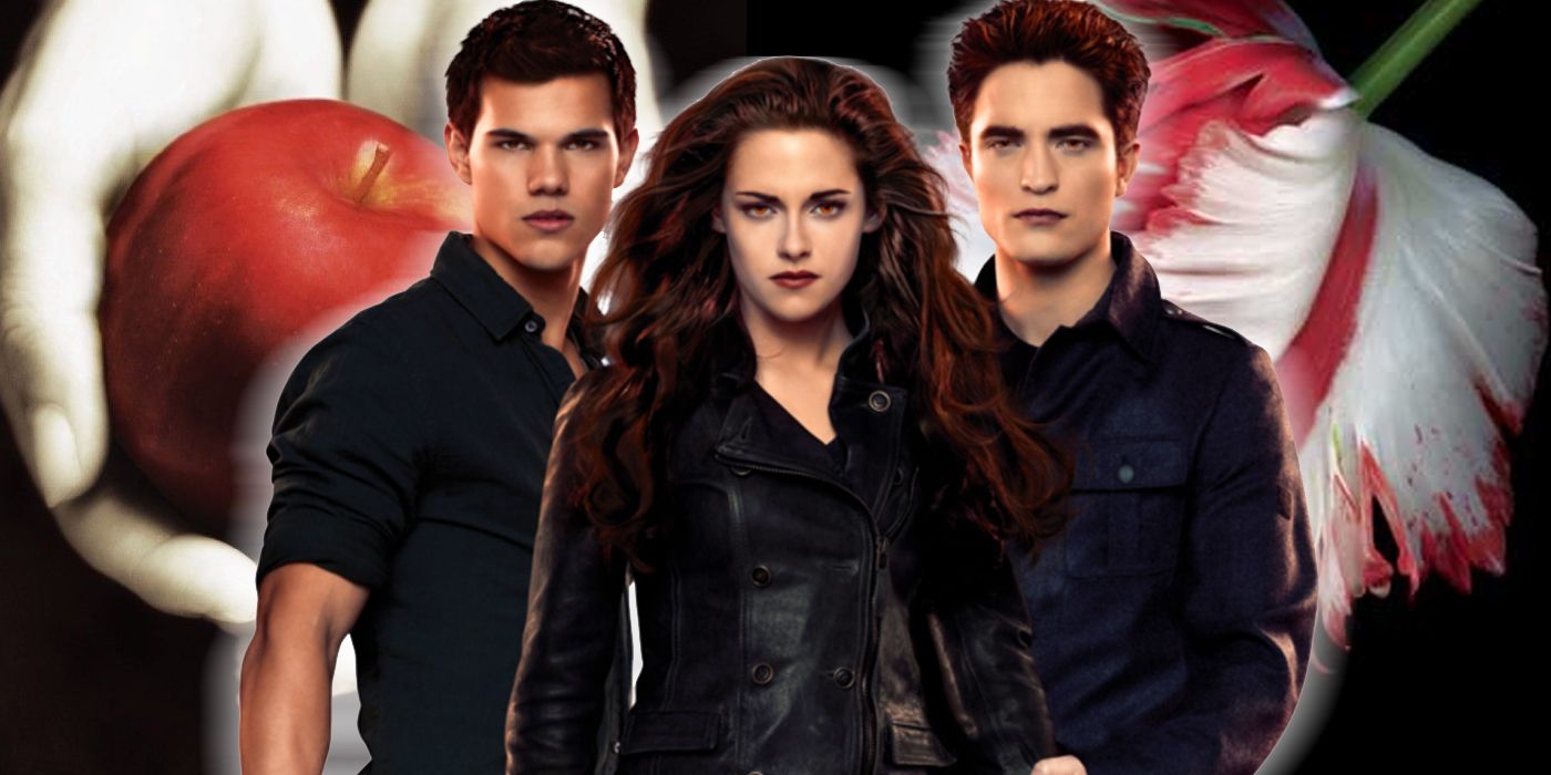 Original Twilight Star Weighs In on Upcoming Netflix Animated Reboot