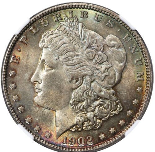 1902 $1 MS64 NGC Morgan Silver Dollar (Toned)