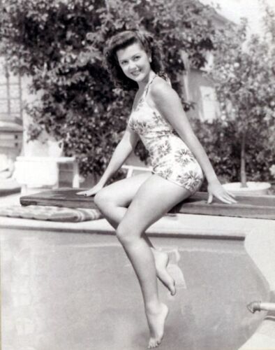 Beautiful Ann Rutherford 8×10 Glossy Photo