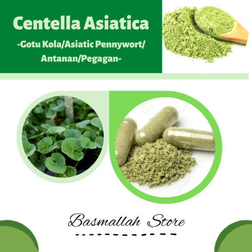 CAPSULES Gotu Kola Asiatic Pennywort Antanan Pegagan Centella Asiatica Organic