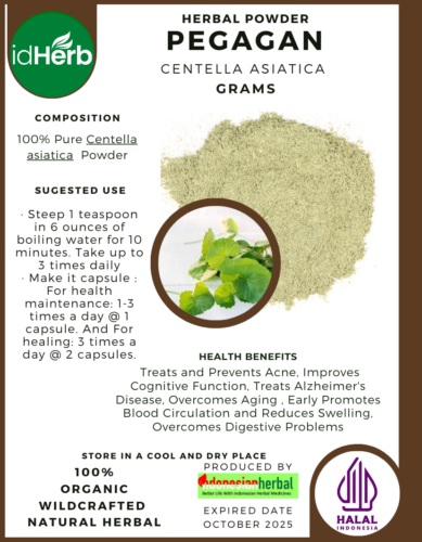 FRESH POWDER PEGAGAN Centella asiatica  NATURAL HERBAL PREMIUM ORGANIC