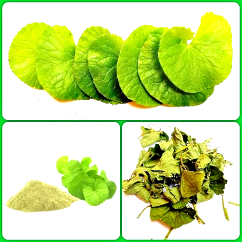 Dried Centella asiatica leaves/ Ground Powder Organic Pennywort Spadeleaf