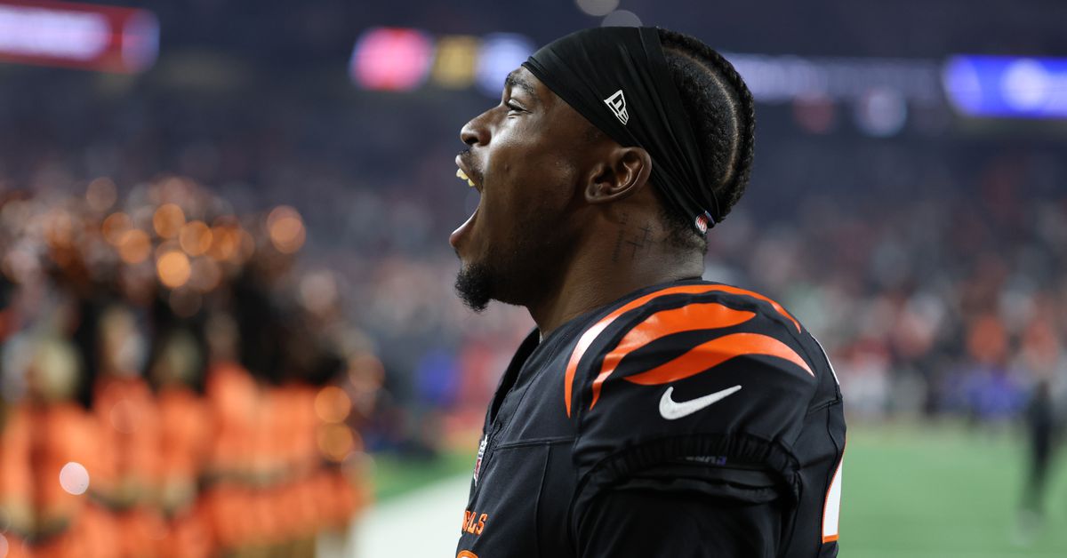 Cincinnati Bengals rookie Josh Newton fined by NFL