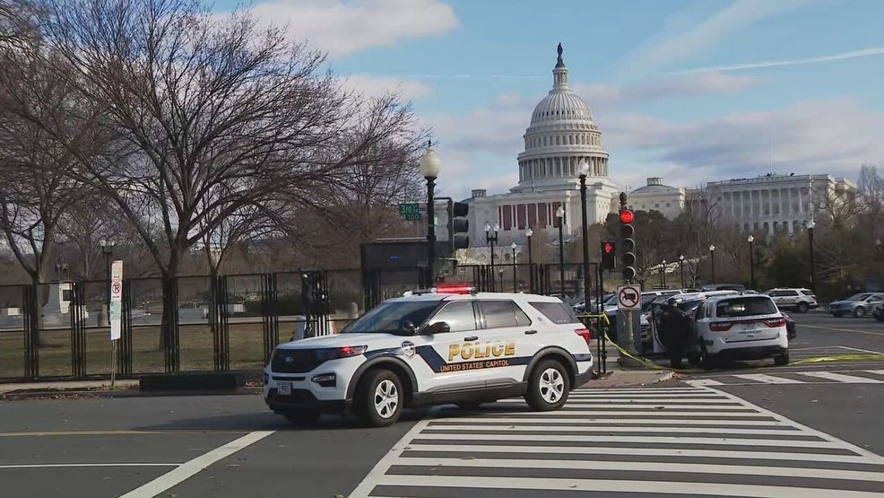 Man drives car along sidewalk and onto grassy area near US Capitol Building, detained