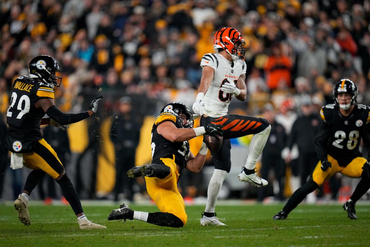 Alex Highsmith injury: Steelers linebacker hurt vs Bengals in NFL Week 18