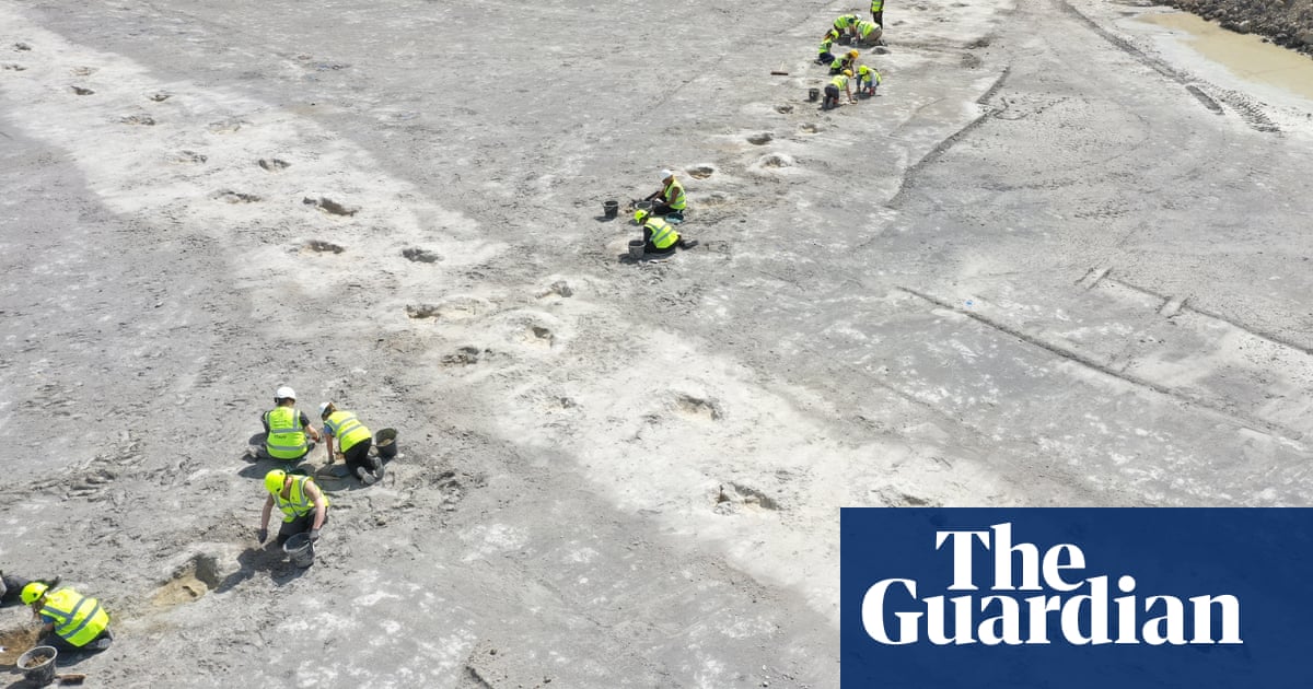 Biggest trackway of dinosaur footprints found in Oxfordshire quarry | Dinosaurs