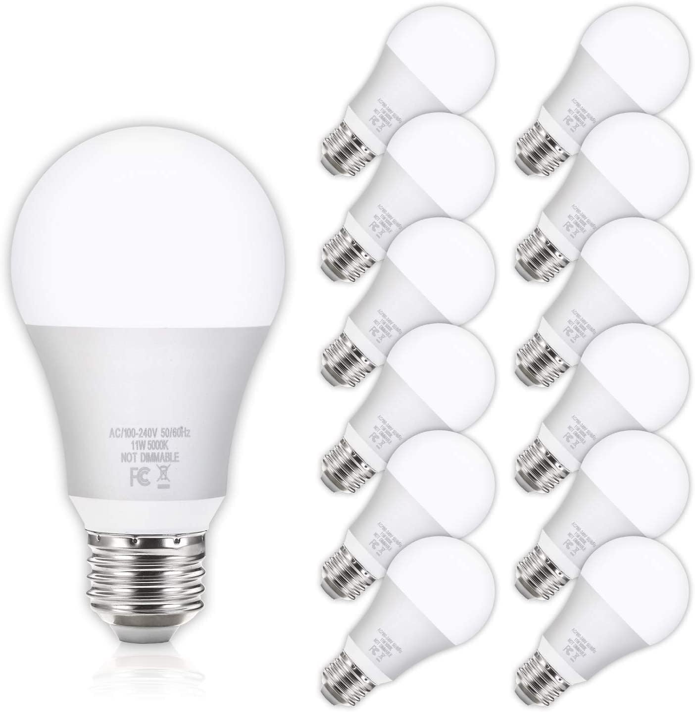 Yochoice 12Pack A19 LED Light Bulbs 100 Watt Equivalent 5000K Daylight White, No Flicker E26 Medium Screw Base Bulbs, 1100Lumens, Non Dimmable