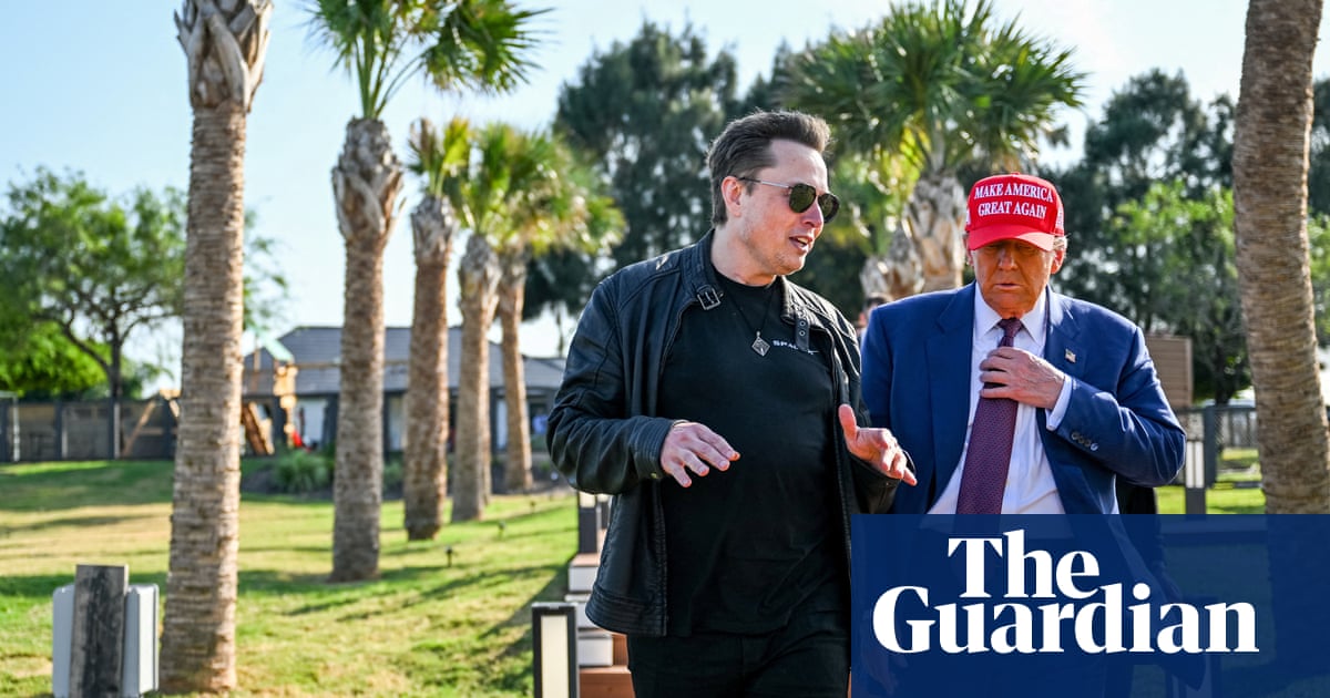 Elon Musk’s calls for Tommy Robinson release anger Labour MPs | Elon Musk