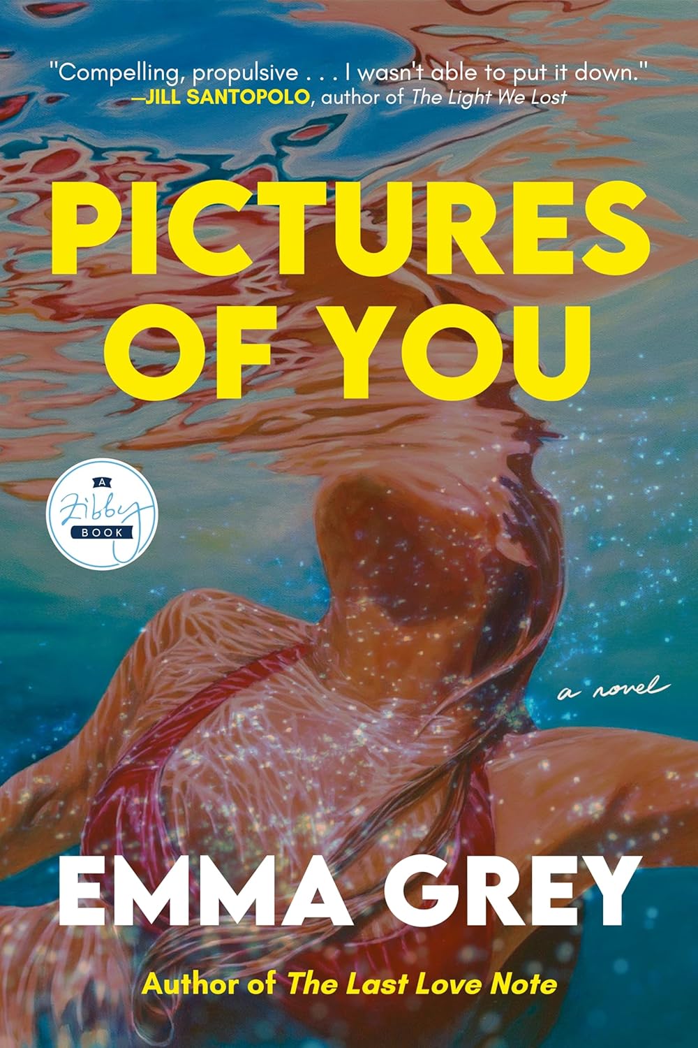 Pictures of You: A Novel