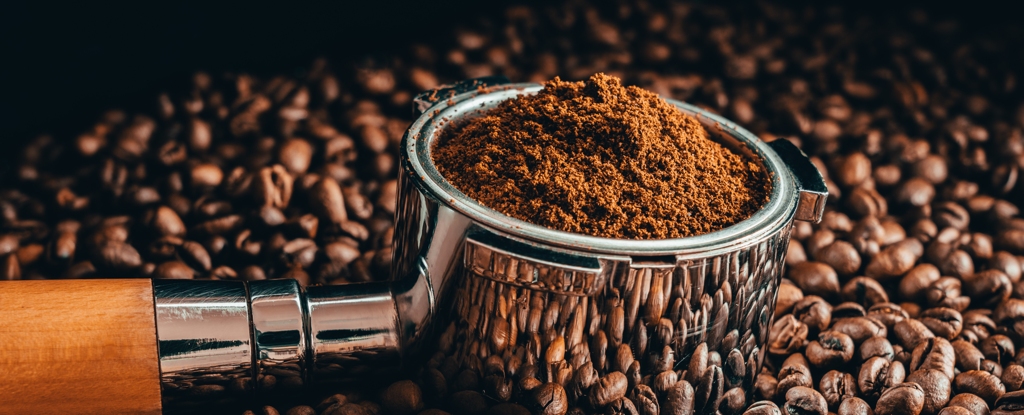 Scientists Discovered An Amazing Practical Use For Your Leftover Coffee Grounds : ScienceAlert