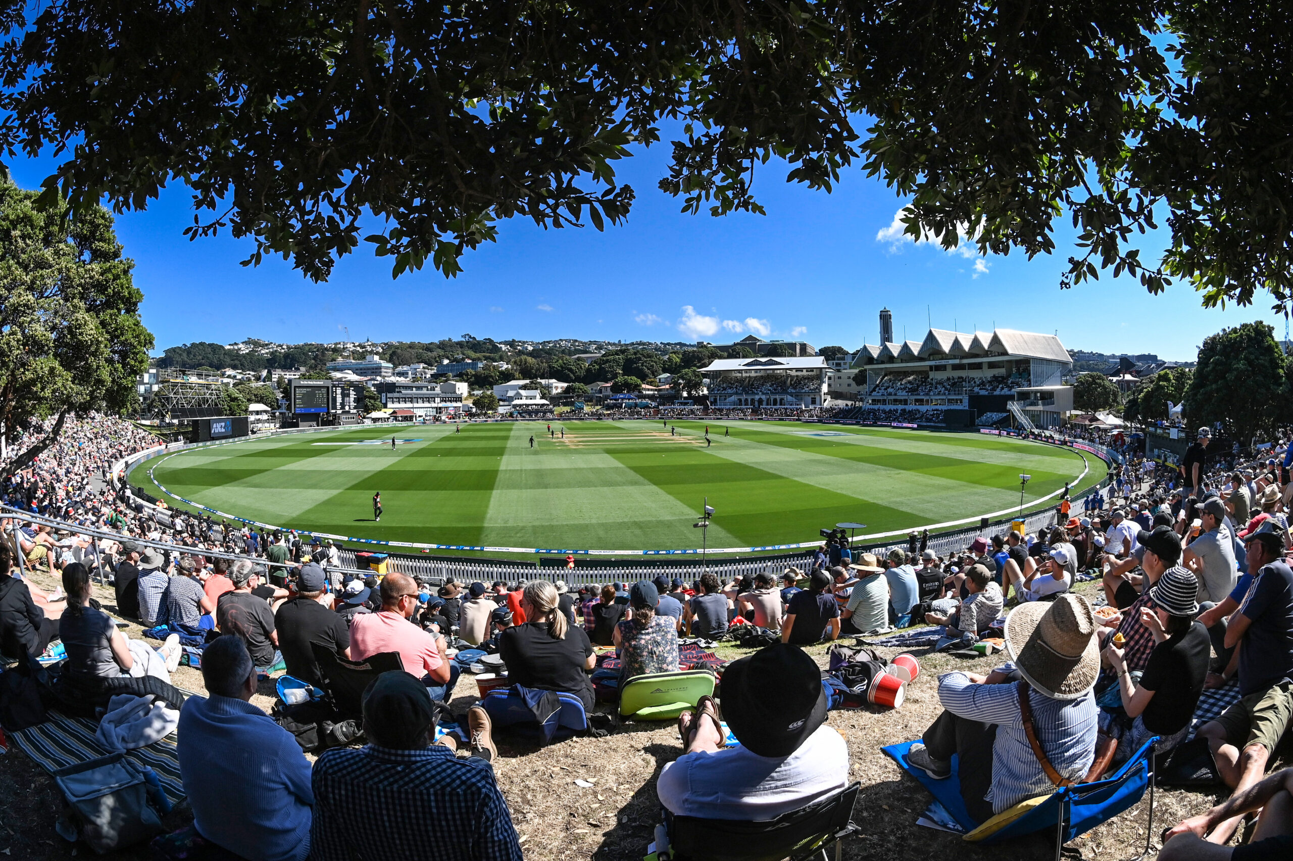 Basin Reserve ODI heading for a sell out