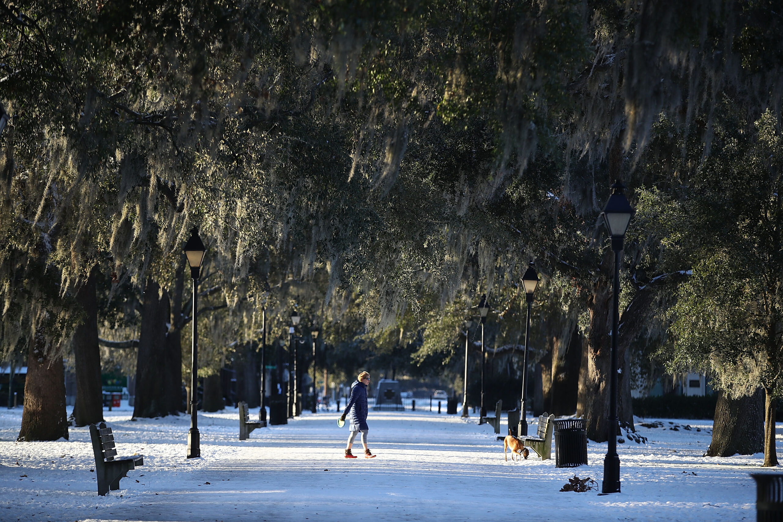 Georgia Polar Vortex Forecast: Deep South Set for Deep Freeze