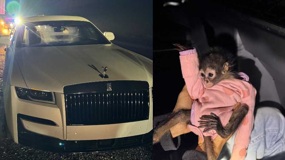 Rolls Royce driver arrested for DUI and possession of a monkey, CHP says